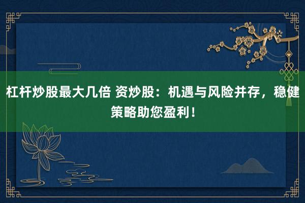 杠杆炒股最大几倍 资炒股：机遇与风险并存，稳健策略助您盈利！