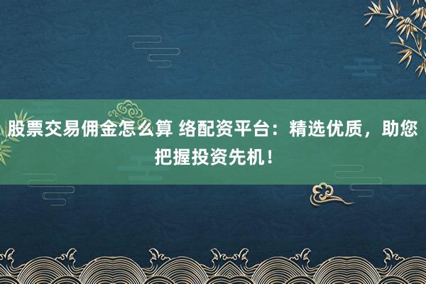 股票交易佣金怎么算 络配资平台：精选优质，助您把握投资先机！