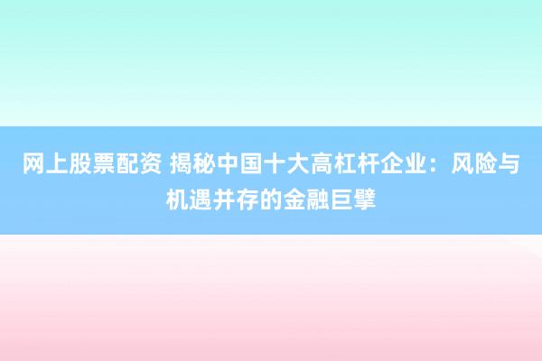网上股票配资 揭秘中国十大高杠杆企业：风险与机遇并存的金融巨擘