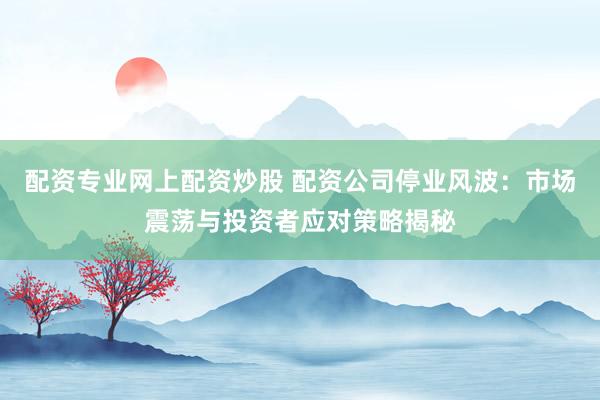 配资专业网上配资炒股 配资公司停业风波：市场震荡与投资者应对策略揭秘