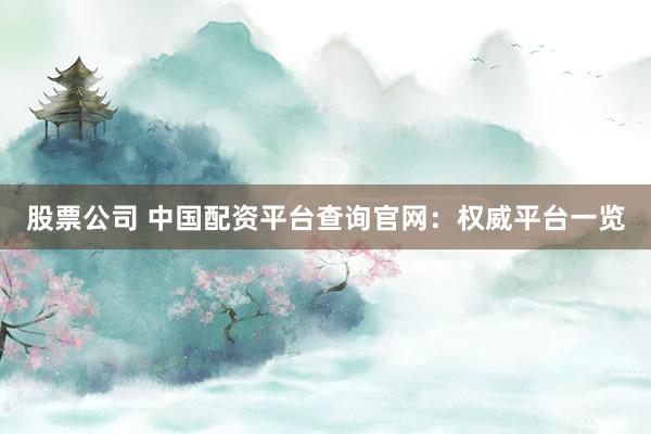 股票公司 中国配资平台查询官网：权威平台一览