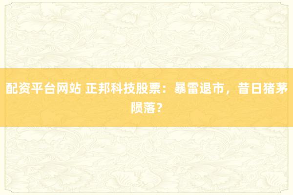 配资平台网站 正邦科技股票：暴雷退市，昔日猪茅陨落？