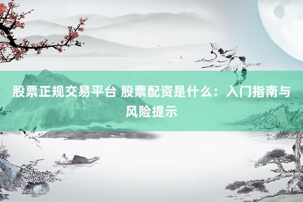股票正规交易平台 股票配资是什么：入门指南与风险提示