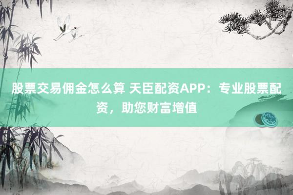股票交易佣金怎么算 天臣配资APP：专业股票配资，助您财富增值