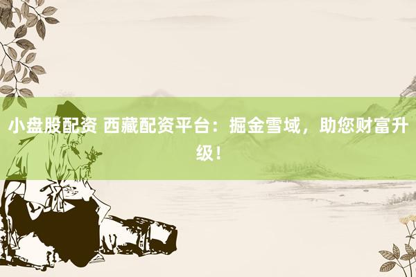 小盘股配资 西藏配资平台：掘金雪域，助您财富升级！