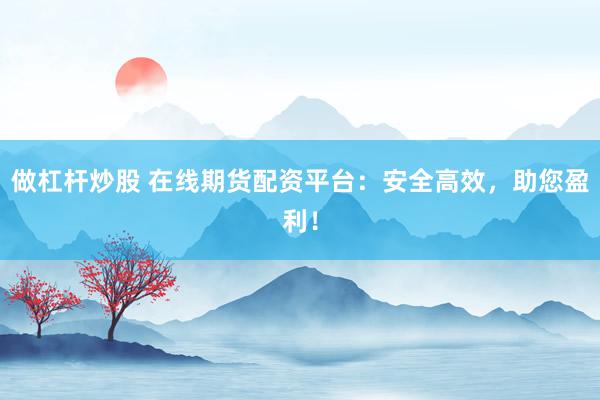 做杠杆炒股 在线期货配资平台：安全高效，助您盈利！