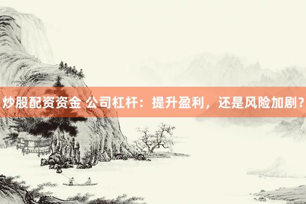 炒股配资资金 公司杠杆：提升盈利，还是风险加剧？