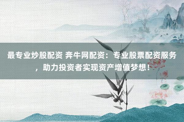 最专业炒股配资 奔牛网配资:专业股票配资服务,助力投资者实现资产增值梦想!