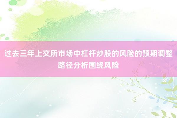 过去三年上交所市场中杠杆炒股的风险的预期调整路径分析围绕风险