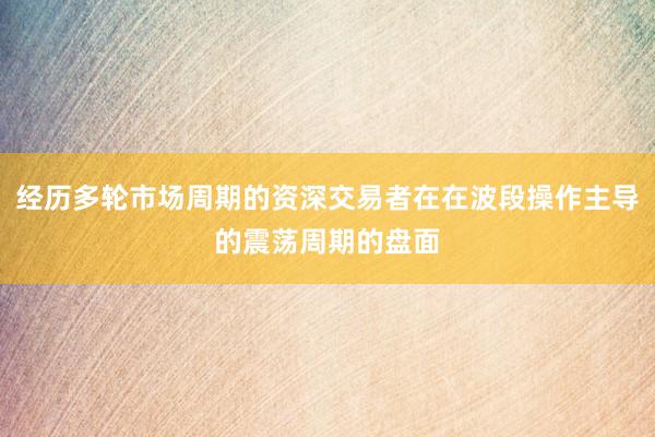 经历多轮市场周期的资深交易者在在波段操作主导的震荡周期的盘面
