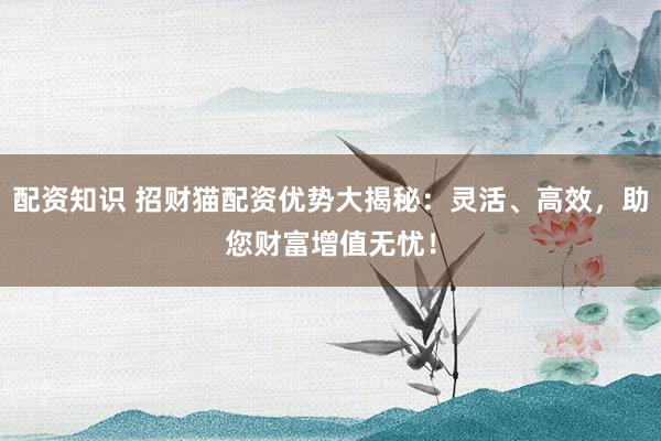 配资知识 招财猫配资优势大揭秘：灵活、高效，助您财富增值无忧！