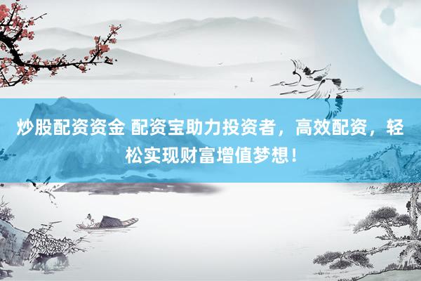 炒股配资资金 配资宝助力投资者，高效配资，轻松实现财富增值梦想！